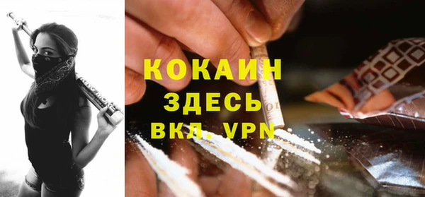 стафф Михайловск