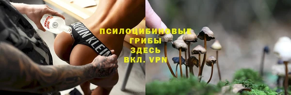 стафф Михайловск