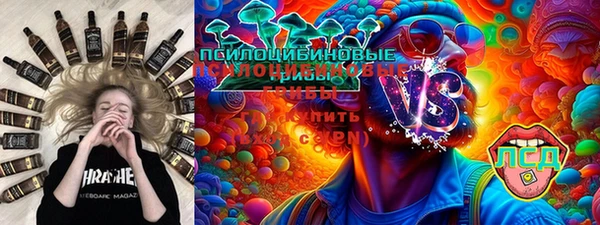 прущий лед Михайлов