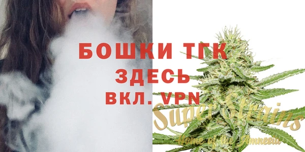 стафф Михайловск