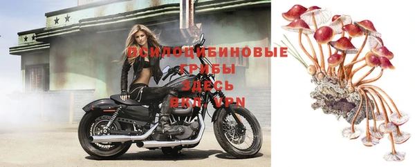 дурь Аксай