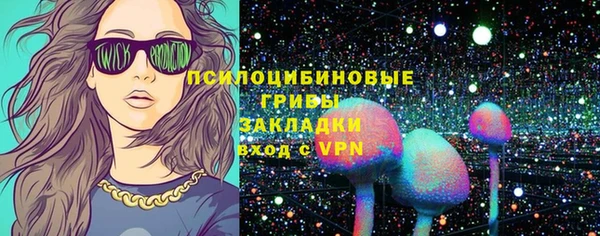 прущий лед Михайлов