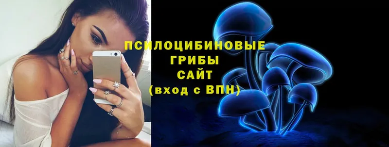 где продают   OMG как войти  Галлюциногенные грибы Magic Shrooms  Сафоново 