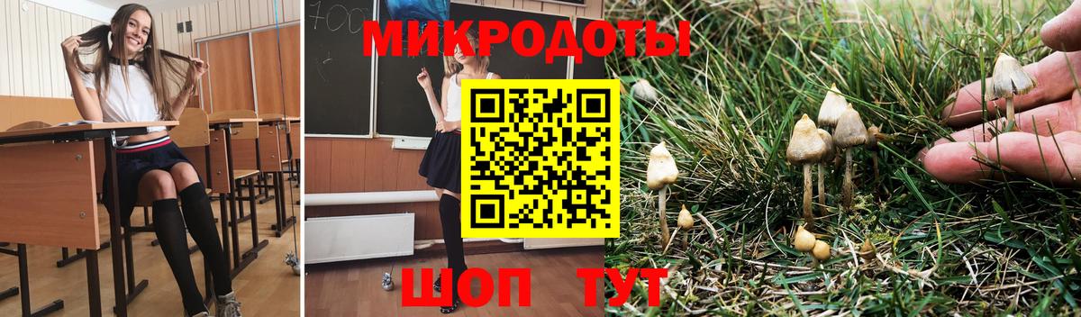 Галлюциногенные грибы GOLDEN TEACHER  Вход с VPN  Сафоново 