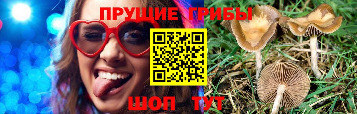 Cocaine Сафоново